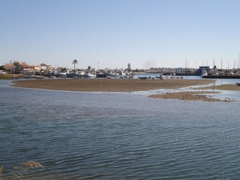 Leo Jardines De Isla Canela Bagian luar foto